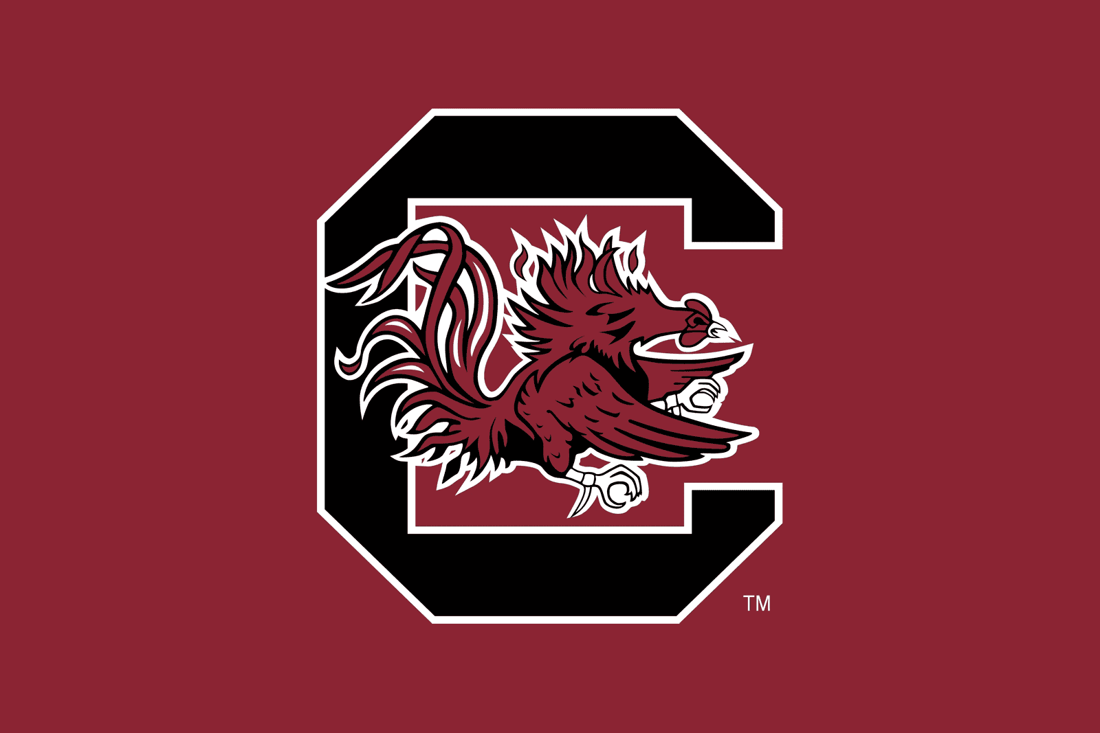 South Carolina Gamecocks