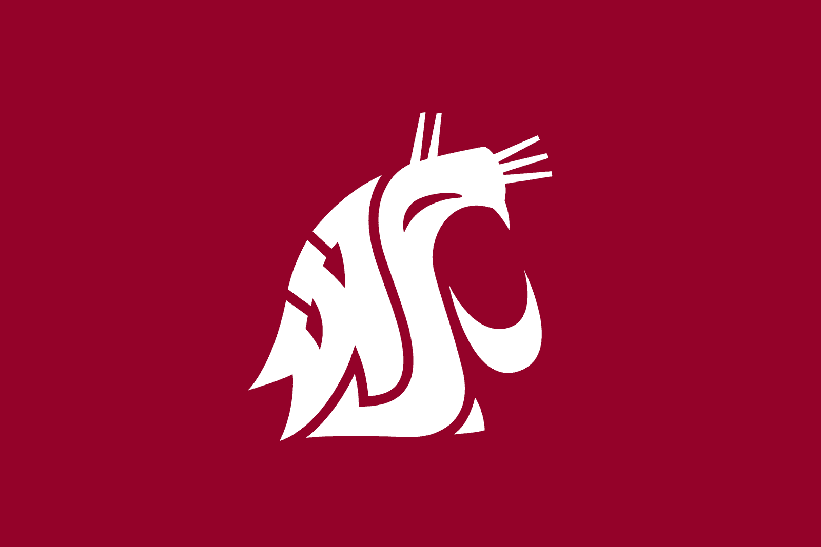 Washington State Cougars