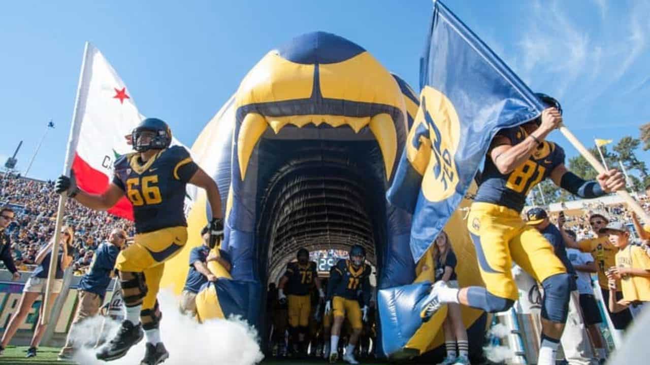 Cal Hosts Auburn In Home Opener - California Golden Bears Athletics