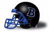 Bentley Falcons