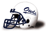 Southern Connecticut Owls