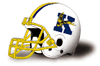 Kent State Golden Flashes
