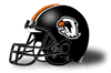 UT-Permian Basin Falcons