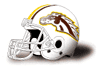 Western Michigan Broncos