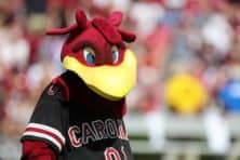 South Carolina to host Troy in 2021, Georgia State in 2022