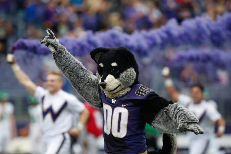 Washington adds UC Davis to 2025 football schedule