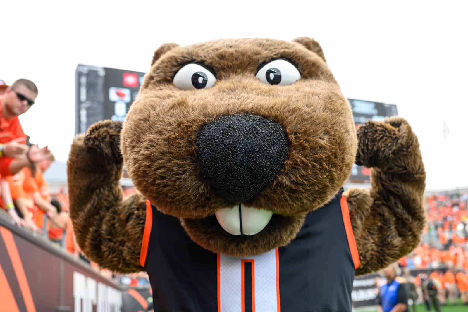 Oregon State, Wake Forest schedule football series for 2025, 2029