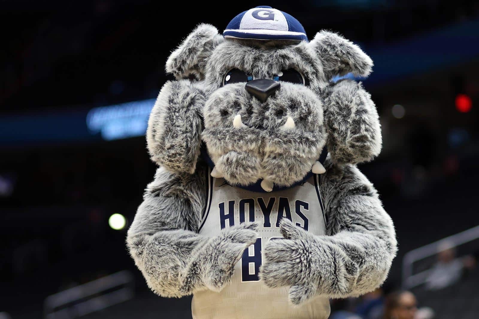 Georgetown Hoyas