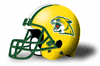 Northern Michigan Wildcats