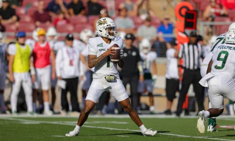 Sacramento State Hornets