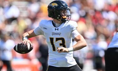Towson Tigers